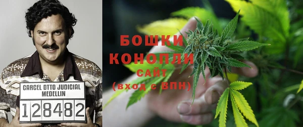 прущие крисы Ладушкин