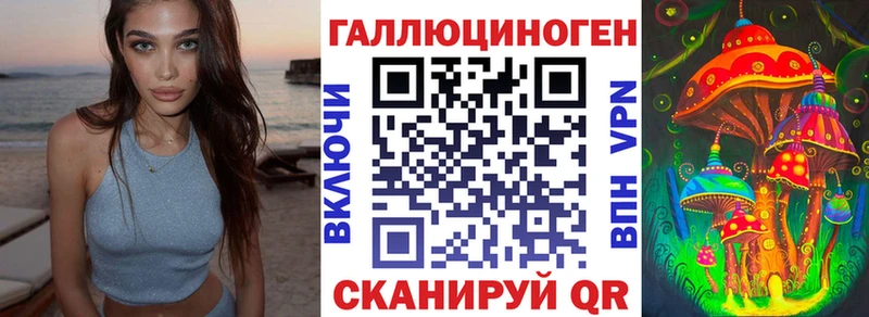 Галлюциногенные грибы Psilocybine cubensis Шенкурск